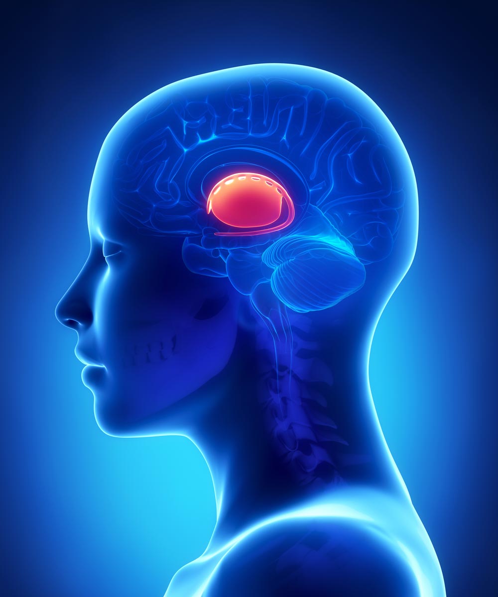 Biotin can help treat a neurological disorder that affects the basal ganglia neurons in the brain.