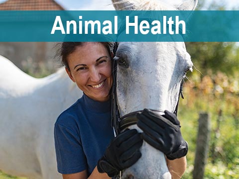 Animal Health